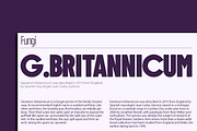 ZT Floogn, a Sans Serif Font by zelow type (Thumbnail 12 of 15)