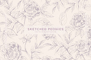 Sketched Peonies, a Pattern Graphic by MalyskaStudio (Thumbnail 1 of 16)
