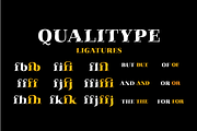 Qualitype Neo, a Serif Font by BULENT YUKSEL (Thumbnail 16 of 28)