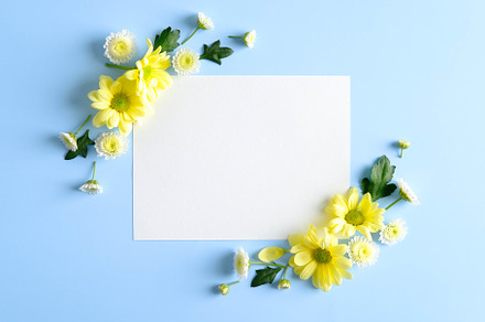 Blank paper card and yellow flowers, a Holiday Photo by photoguns