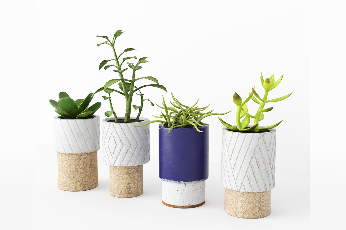 Decorative Plants, a Furniture 3D Model by 3DCargo (Photo 1 of 9)