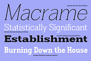 Humbles, a Serif Font by Propertype (Thumbnail 5 of 16)