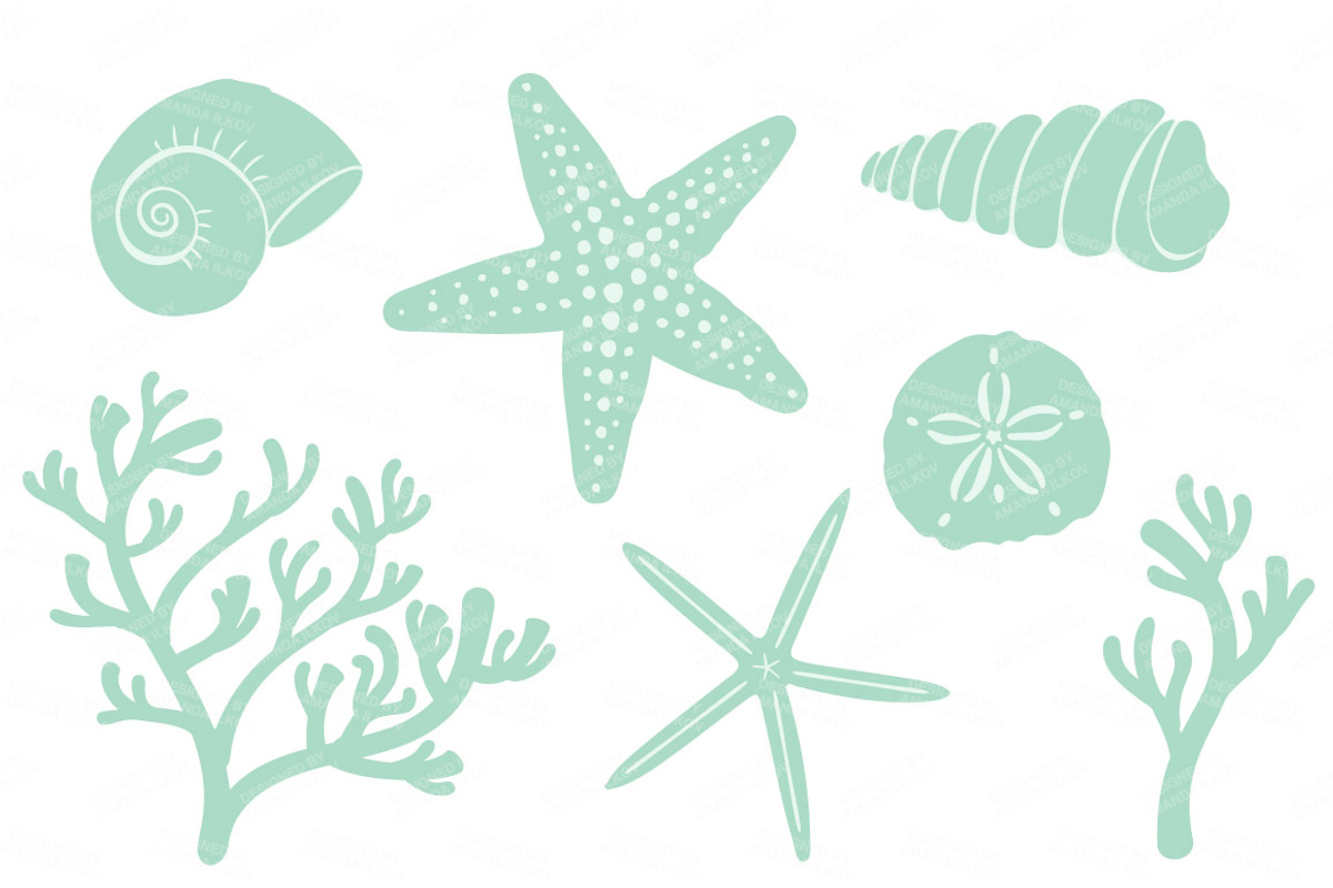 Mint & Peach Vector Seashells, an Illustration by Amanda Ilkov (Photo 4 of 5)
