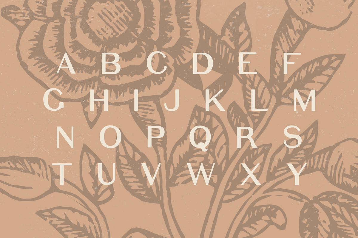 Elijah - Sans Serif Display Font preview 4