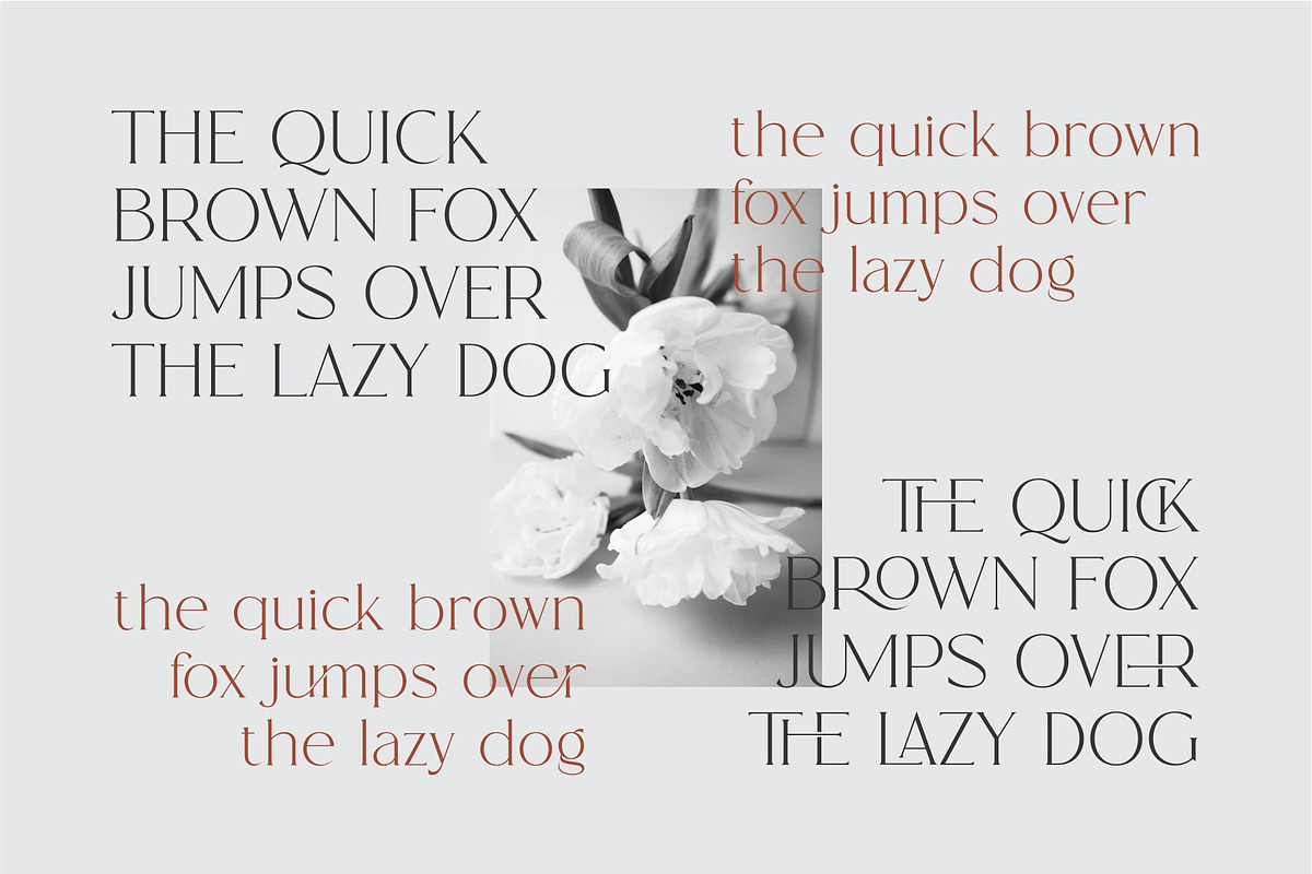 Ranse Modern Ligature Serif Font, a Serif Font by Dylla_studio (Photo 4 of 12)