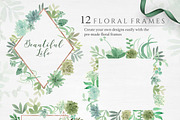 Botanist II - Airplants & Succulents, a Texture Illustration by Momo Studio (Thumbnail 3 of 15)