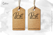 Sisterhood - Chic Brush Font, a Script Font by din-studio.com (Thumbnail 3 of 16)
