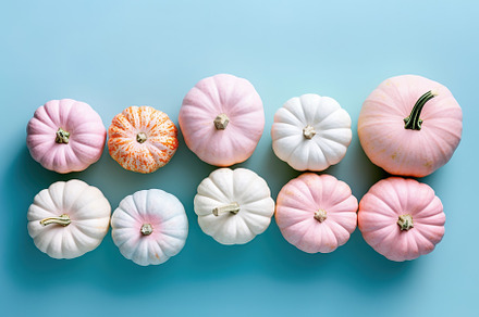 decorative pumpkins background, a Background Photo by Virgo Studio
