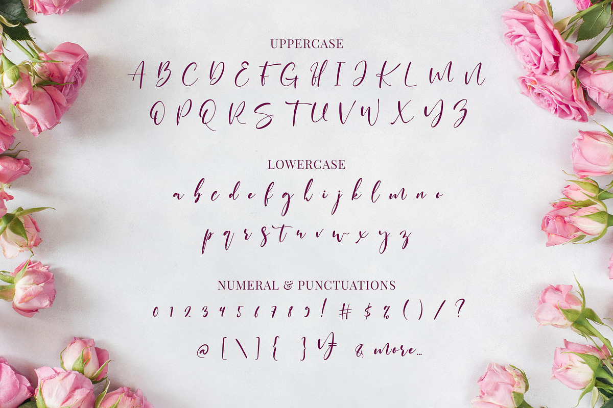 Saturated - Beautiful Script Font, a Script Font by Almarkhatype (Photo 9 of 12)