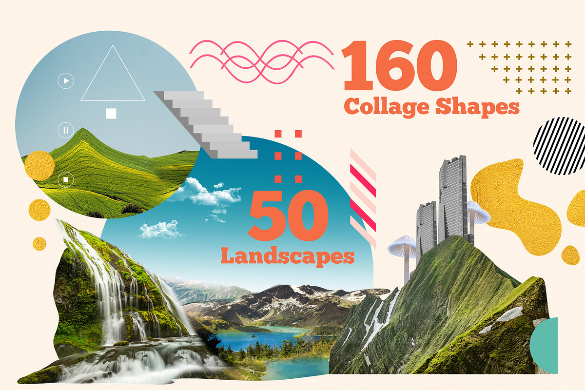 World's Best Collage Creator, an Animal Illustration by SNIPESCIENTIST (Photo 21 of 48)