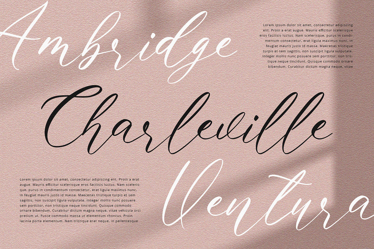 Clandestine - Handwritten Font, a Script Font by Alpaprana (Photo 6 of 10)