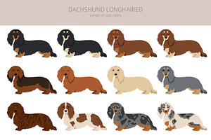 Dachshund Longhaired Clipart