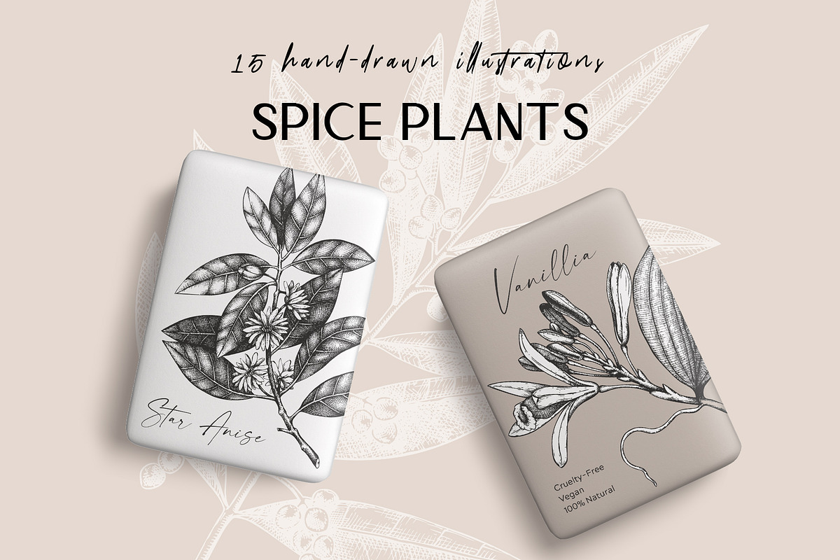BUNDLE - Vector Herbs & Spices, a Food Illustration by Yevheniia (Photo 6 of 12)