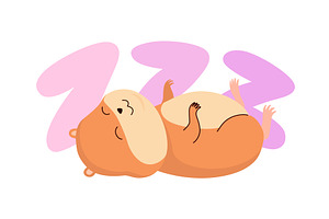 Cartoon hamster. Fluffy domestic pet, an Animal Illustration by the8monkey