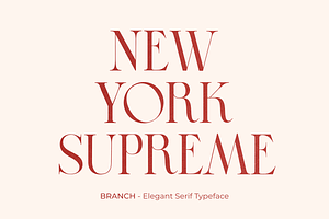 BRANCH - Elegant Serif Typeface