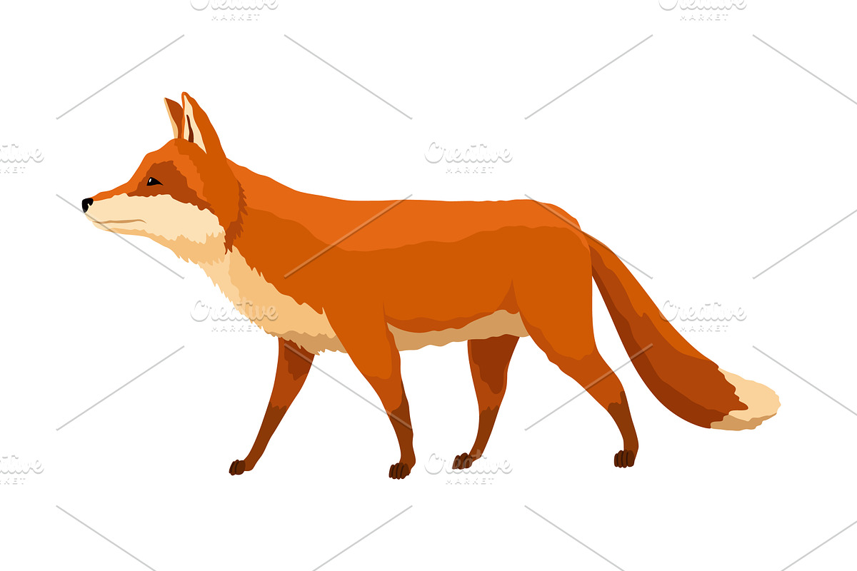 Red fox. Funny character, forest, an Animal Illustration by the8monkey