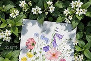 Wildflower watercolor floral clipart, a Decorative Illustration by ReachDreams (Thumbnail 9 of 10)