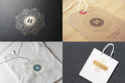 250 ornaments logos & monograms, a Branding & Logo Template by Vasya Kobelev (Thumbnail 14 of 23)