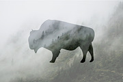 Wild Animals of North America, an Icon by Calvin Weibel (Thumbnail 4 of 6)