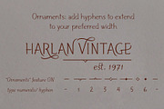 HARLAN - a timeless typeface, a Serif Font by Trial by Cupcakes (Thumbnail 6 of 8)