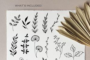 51 Line Art Botanical Illustrations