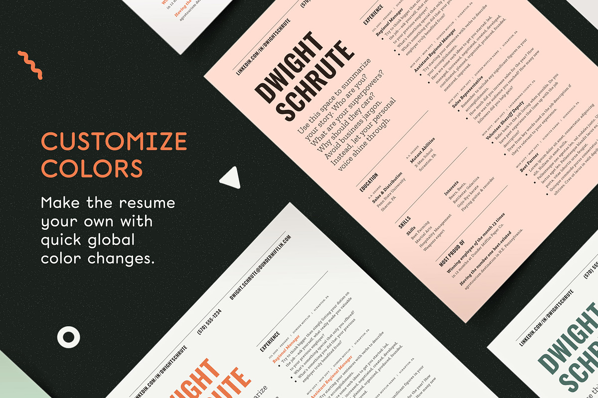 Resume Template Word Pages InDesign, a Resume Template by More Profesh (Photo 6 of 8)