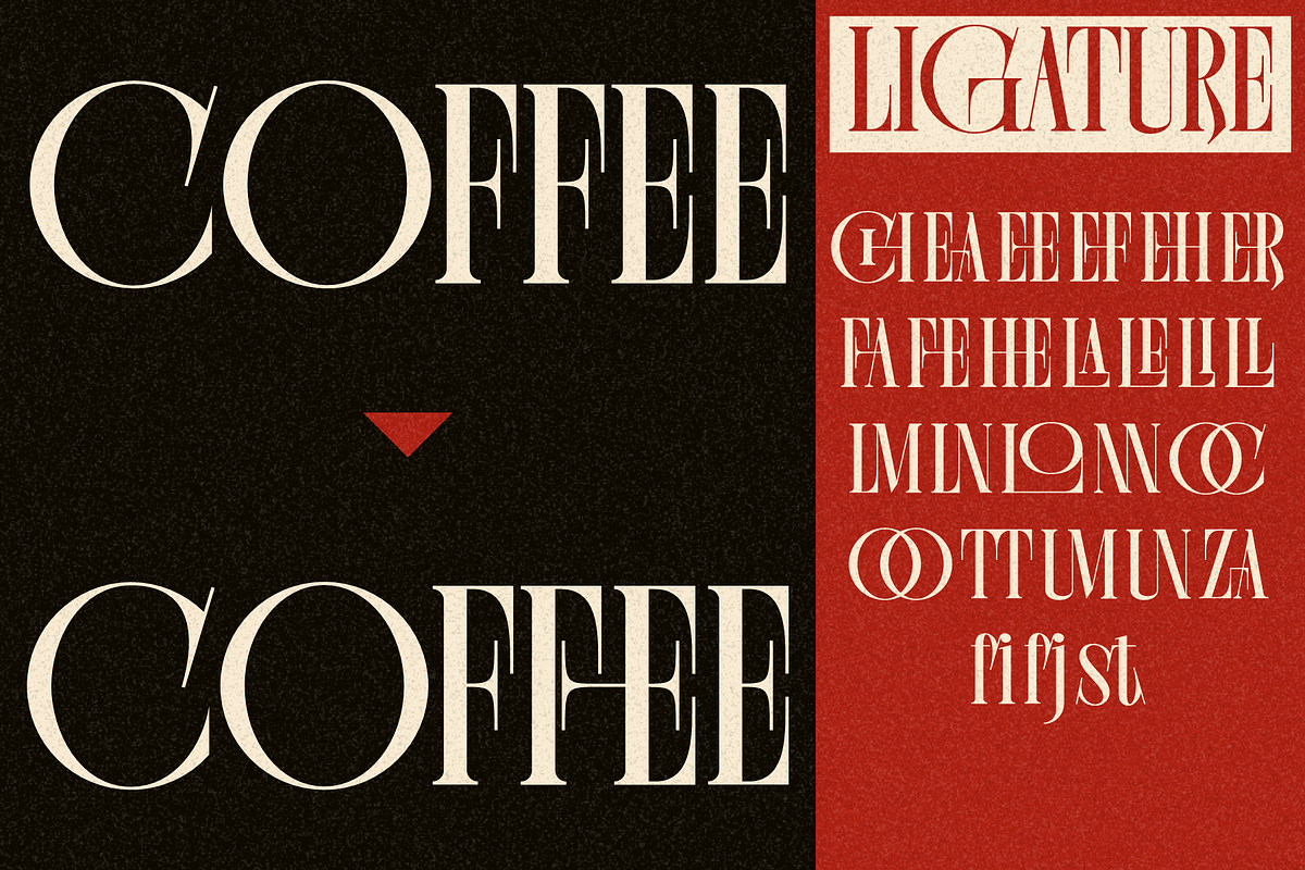 Chelion, a Serif Font by Eotype Studio (Photo 9 of 9)