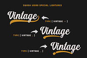 Authentic Vintage Sans & Script, a Script Font by Absonstype (Thumbnail 6 of 12)
