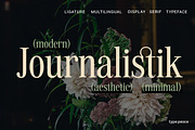 JOURNALISTIK | Multilingual Serif, a Serif Font by type peace (Thumbnail 13 of 13)