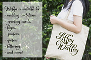 Welga, a Script Font by Digital Typeface Studio (Thumbnail 2 of 7)