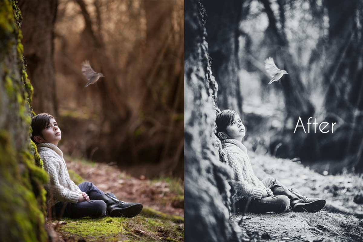 Photographers Everything Mega Bundle, an Action Add-On by PixelHive Pro (Photo 7 of 26)