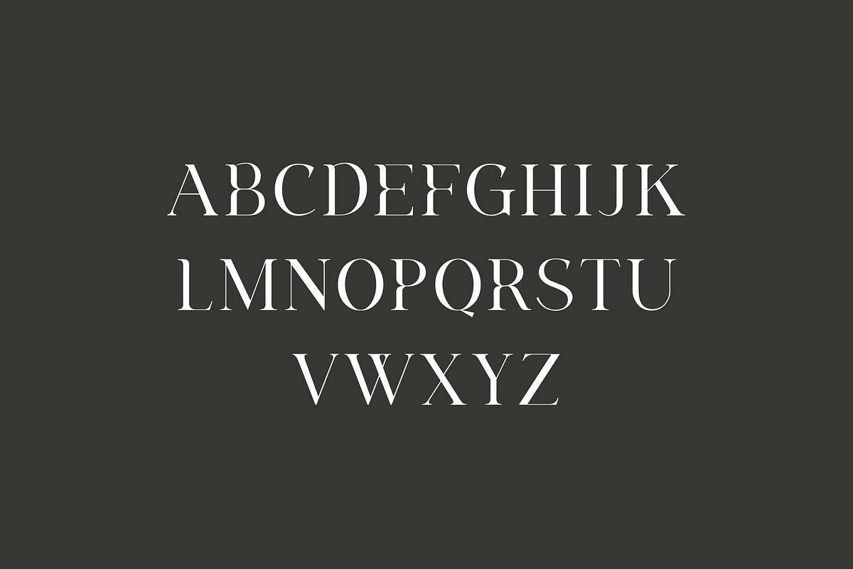 Agathias Stenchy Modern Serif Font, a Serif Font by UICreative (Photo 6 of 9)