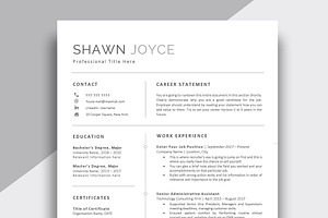 Professional CV Template