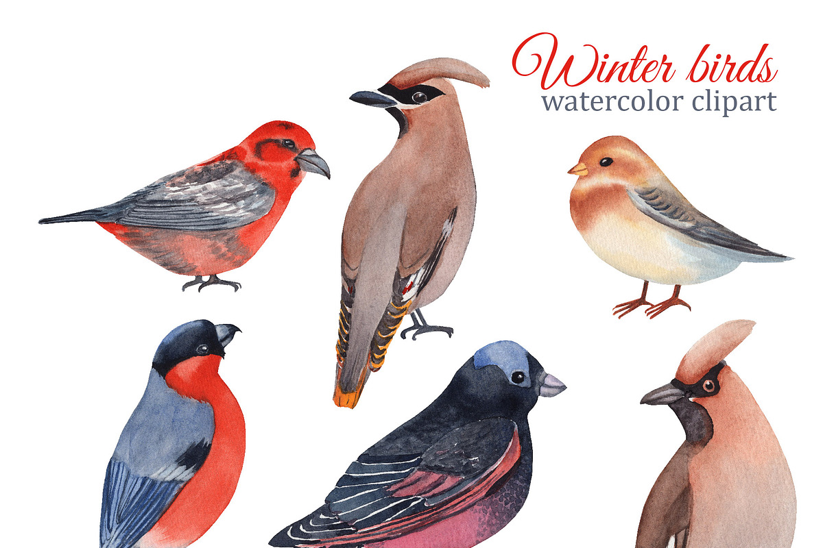 Watercolor winter garden, an Illustration by s.yanyeva (Photo 10 of 12)