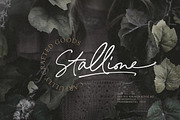 Mellodate - Signature Script, a Script Font by Letterhend Studio (Thumbnail 7 of 9)