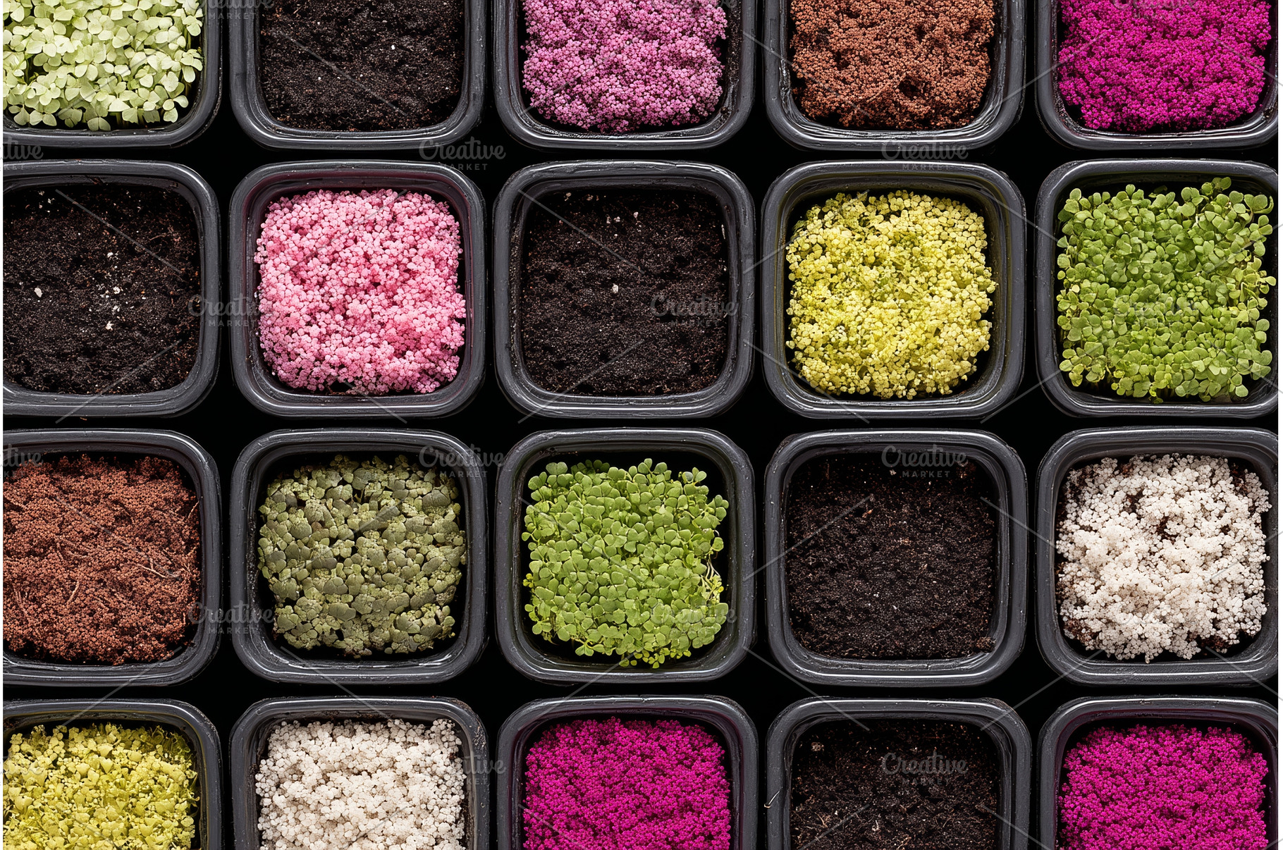 A microgreen farm is shown from a, a Food & Drink Photo by ZinetroN