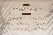 Rellydon Beautiful Calligraphy Font, a Script Font by Denustudios (Thumbnail 11 of 13)