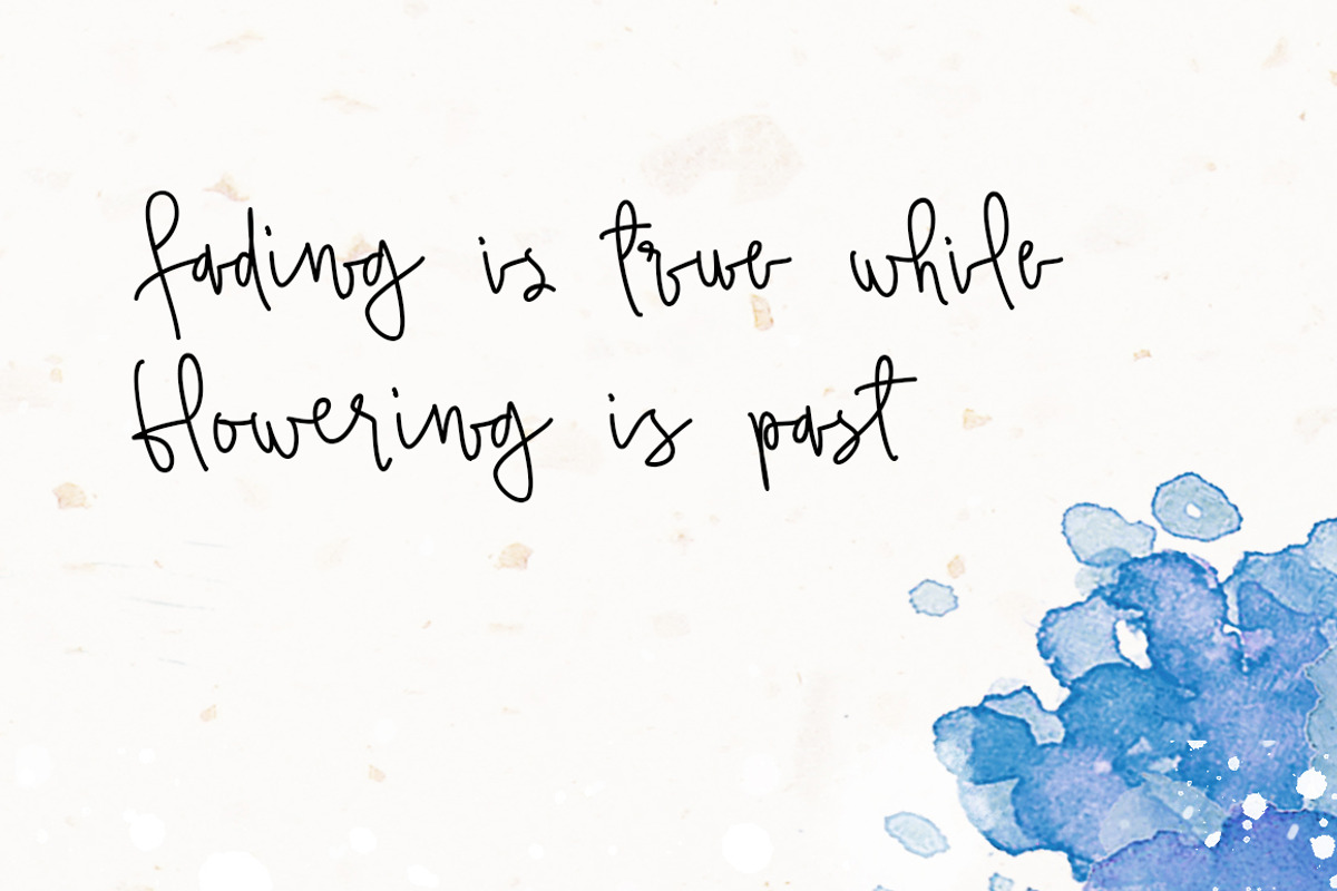 Love Sky font, a Script Font by alphadesign (Photo 9 of 9)