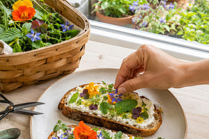 Foraging garden home breakfast with, a Photo by Dvoevnore photos