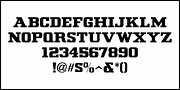 No Entry JNL, a Slab Serif Font by Jeff Levine Fonts (Thumbnail 3 of 5)