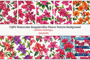 11JPG WATERCOLOR BOUGAINVILLEA BG