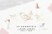 Geometric Bird Logos EPS & PNG, an Outline Icon by Pixejoo (Thumbnail 1 of 8)