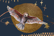 Magic owls: 280 elements for design, an Animal Illustration by Shusha Guna Art (Thumbnail 16 of 23)