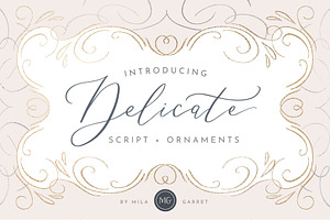 Delicate Elegant Script & Ornaments