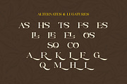 Rospel - A Soft Serif Classic Font, a Serif Font by Muflieart (Thumbnail 11 of 12)