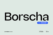 Borscha Typeface, a Sans Serif Font by Glyphminds Studios (Thumbnail 1 of 10)