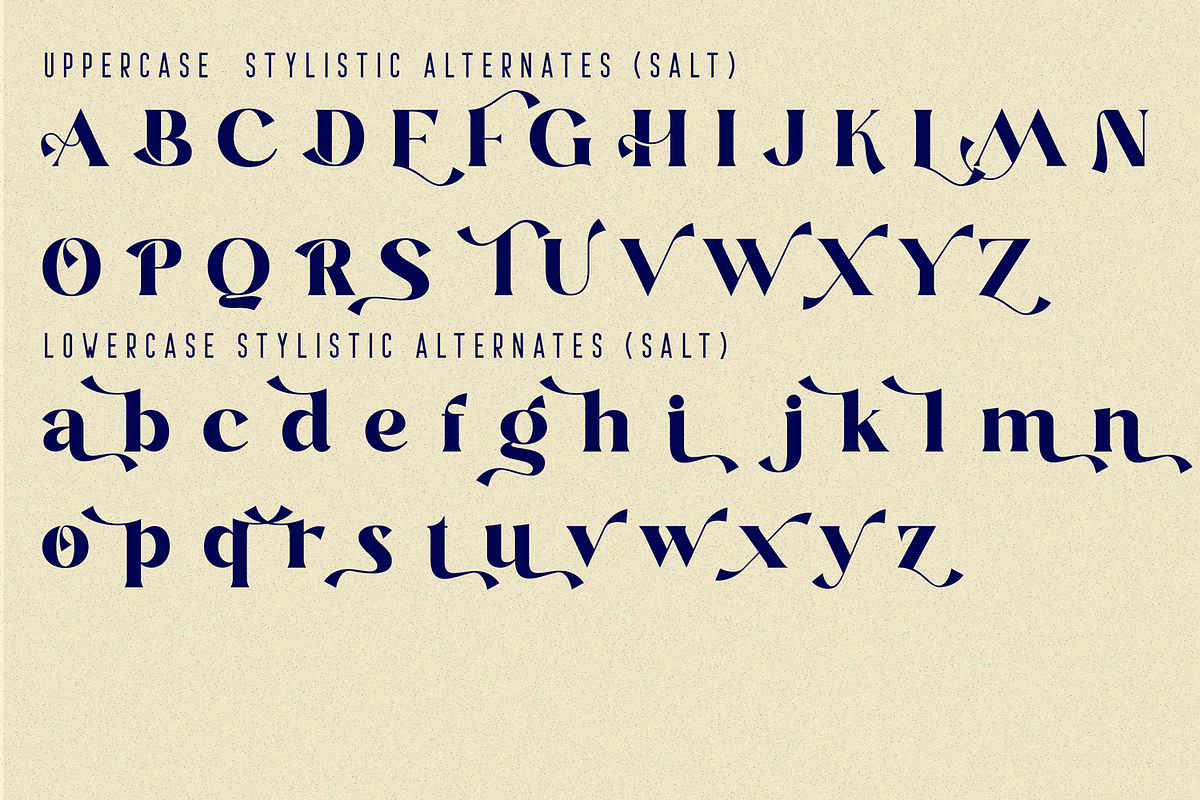 Blastula Font, a Serif Font by 177Studio (Photo 5 of 7)