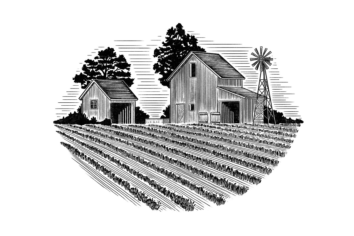 Barn and Outbuilding, an Object Illustration by blue67sign (Photo 2 of 4)