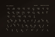 Amazing Luxury Ligature Serif Font, a Serif Font by Perfectype (Thumbnail 8 of 8)