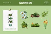 Jewel Beetle Set – Watercolor Nature, an Animal Illustration by CreativeValuation (Thumbnail 3 of 11)